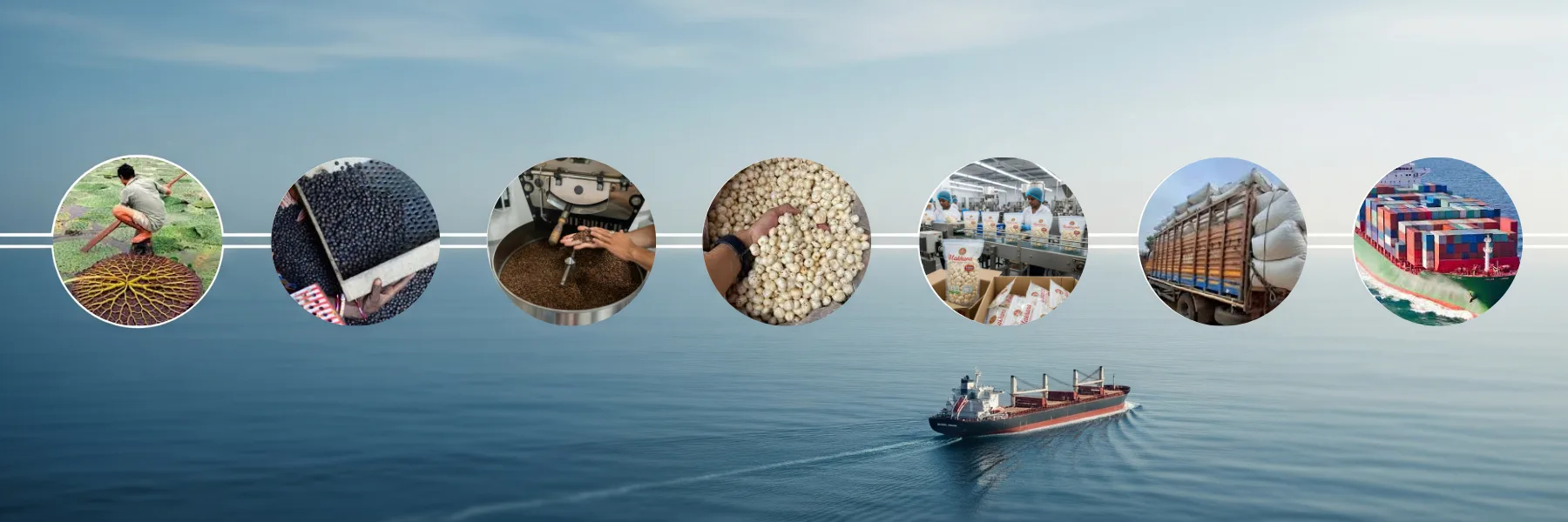 Fox Nuts (Makhana) Exporter in India